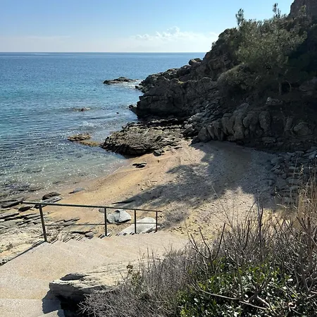 Acra Melia