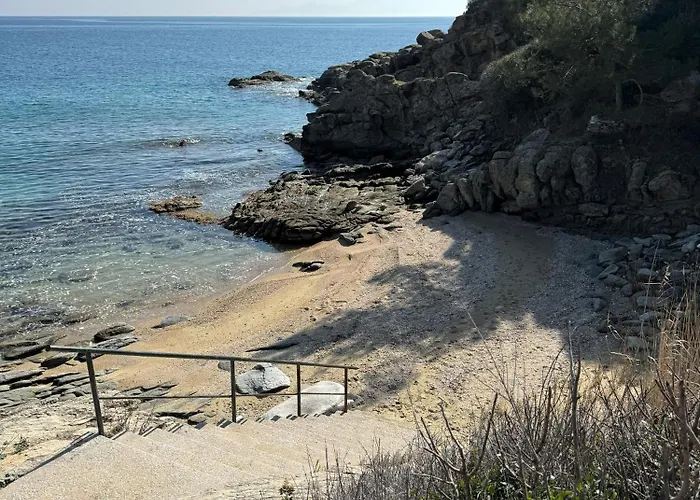 Acra Melia