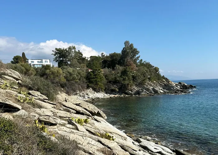 Acra Melia