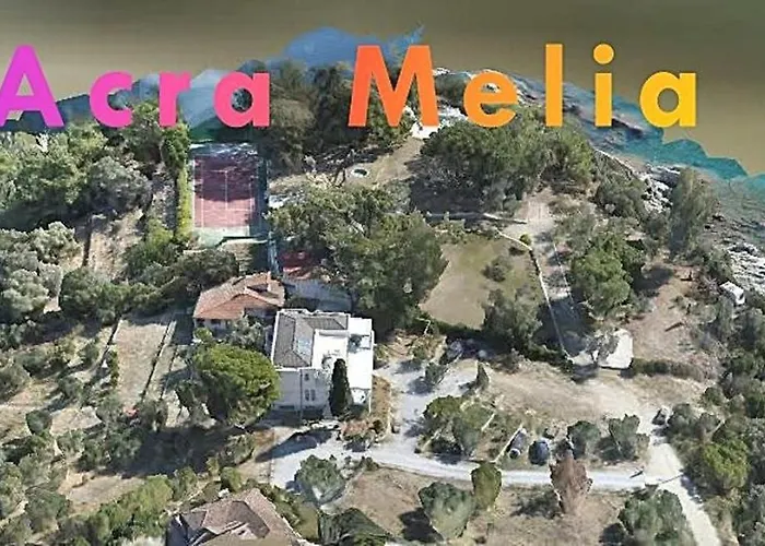 Acra Melia