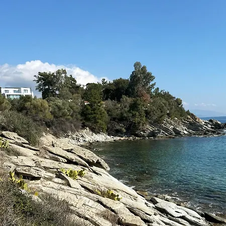 Acra Melia