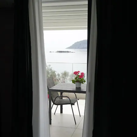 Acra Melia