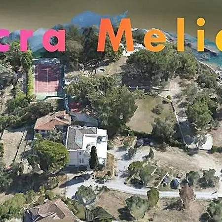 Acra Melia
